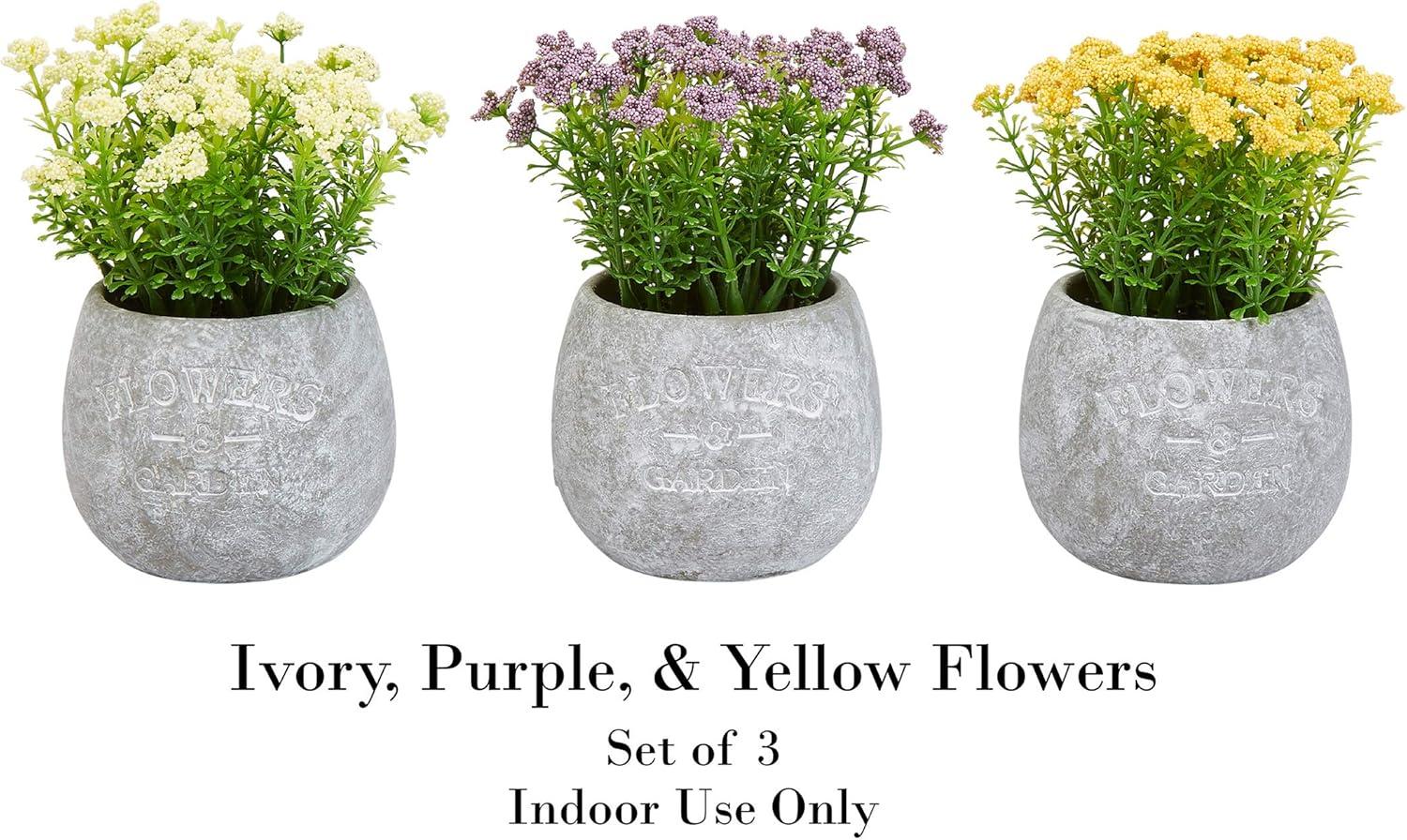 imagePure Garden Artificial Succulent Plants  3Piece Arrangement Set in Faux Stone Pots and Assorted Sizes  Lifelike Greenery for Home DecorationIvory  Yellow   Purple