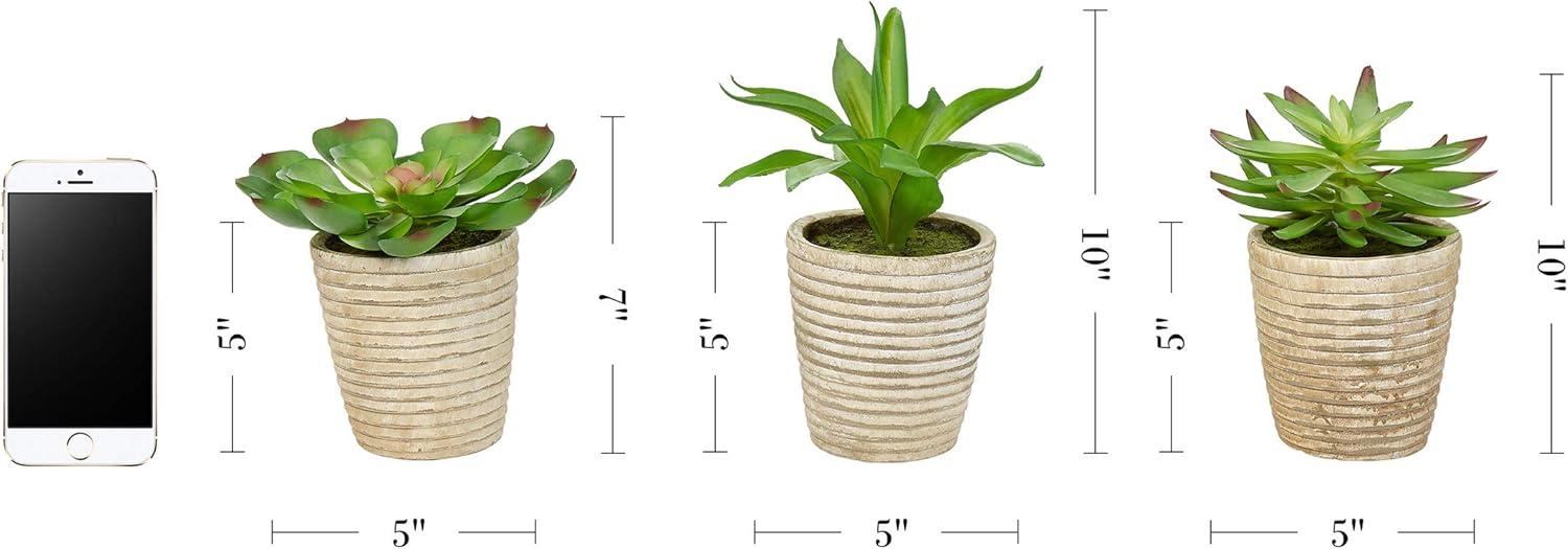 imagePure Garden Artificial Succulent Plants  3Piece Arrangement Set in Faux Stone Pots and Assorted Sizes  Lifelike Greenery for Home DecorationNatural  Green