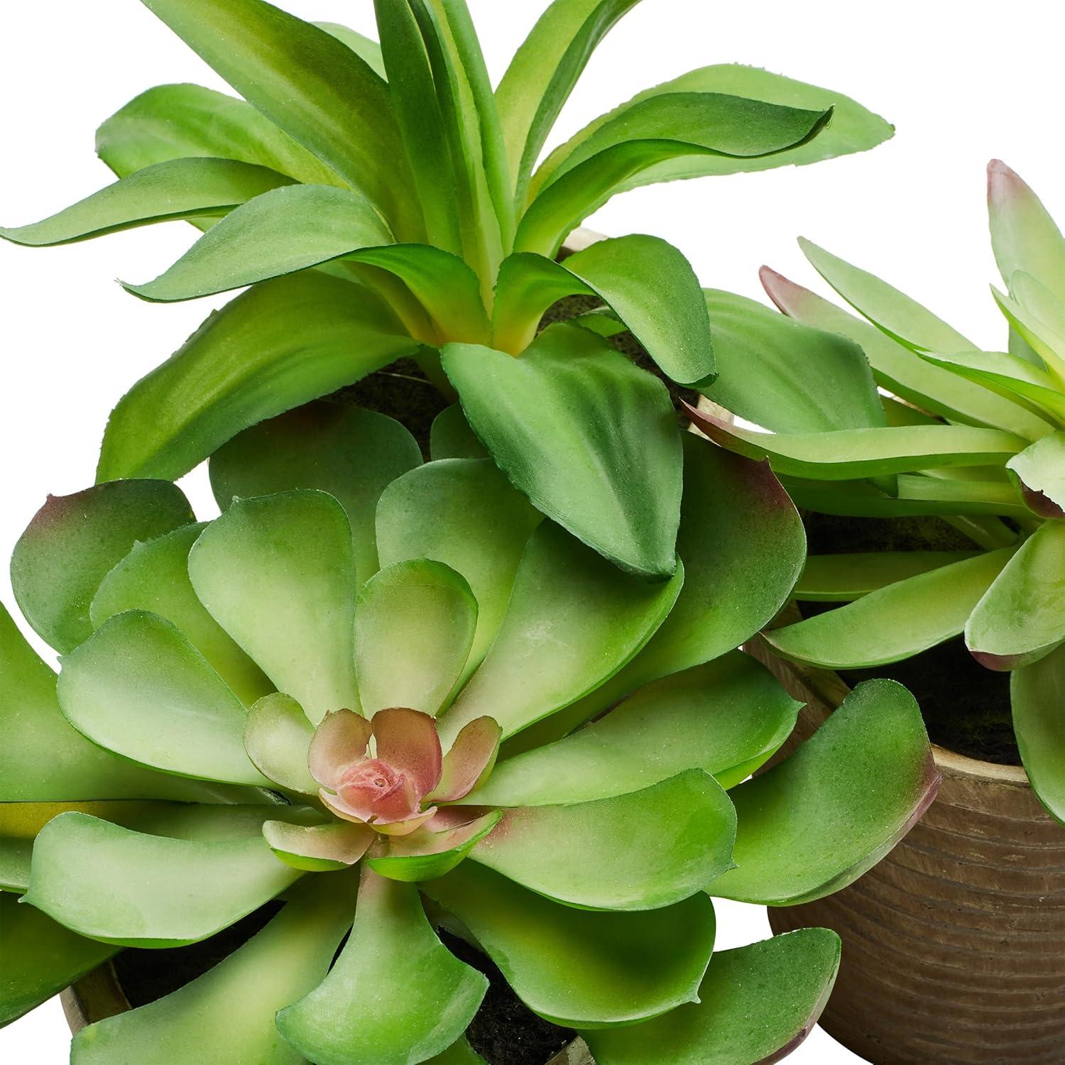 imagePure Garden Artificial Succulent Plants  3Piece Arrangement Set in Faux Stone Pots and Assorted Sizes  Lifelike Greenery for Home DecorationNatural  Green