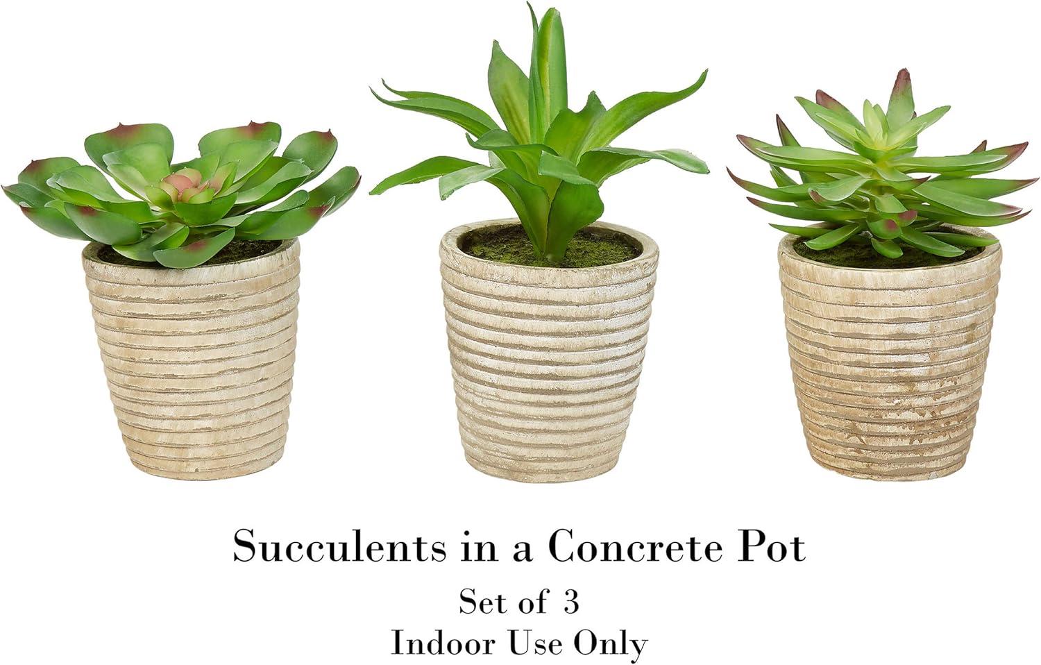 imagePure Garden Artificial Succulent Plants  3Piece Arrangement Set in Faux Stone Pots and Assorted Sizes  Lifelike Greenery for Home DecorationNatural  Green