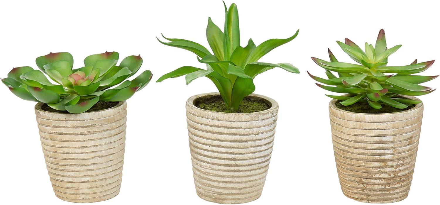 imagePure Garden Artificial Succulent Plants  3Piece Arrangement Set in Faux Stone Pots and Assorted Sizes  Lifelike Greenery for Home DecorationNatural  Green