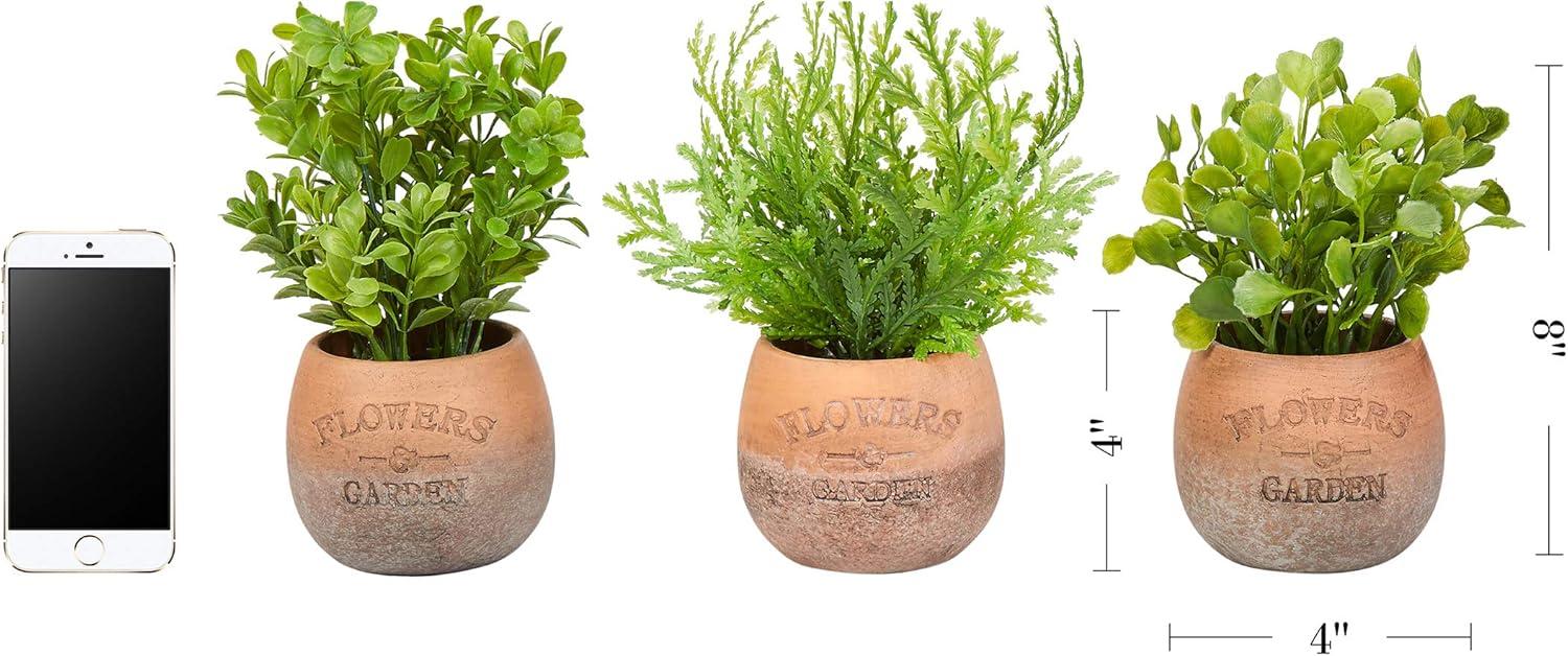 imagePure Garden Artificial Succulent Plants  3Piece Arrangement Set in Faux Stone Pots and Assorted Sizes  Lifelike Greenery for Home DecorationOrange  Green