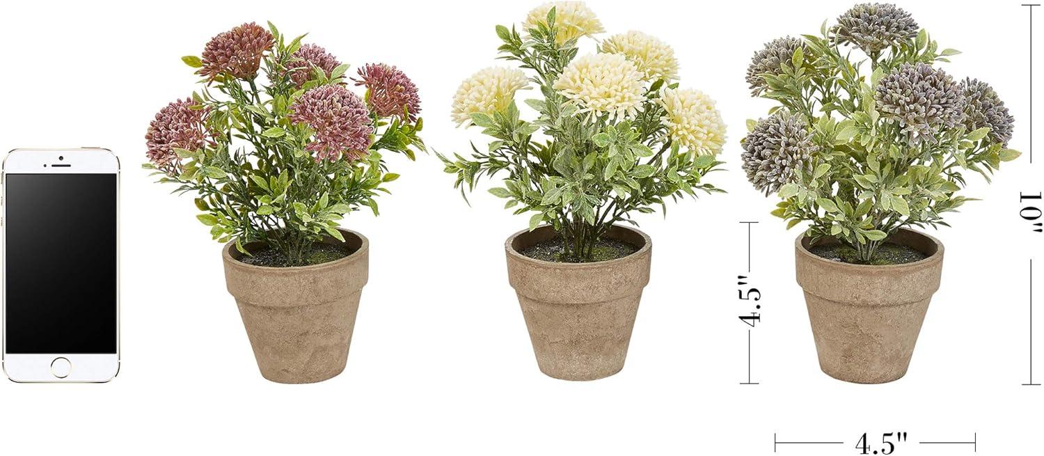 imagePure Garden Artificial Succulent Plants  3Piece Arrangement Set in Faux Stone Pots and Assorted Sizes  Lifelike Greenery for Home DecorationViolet  Lavender   Cream