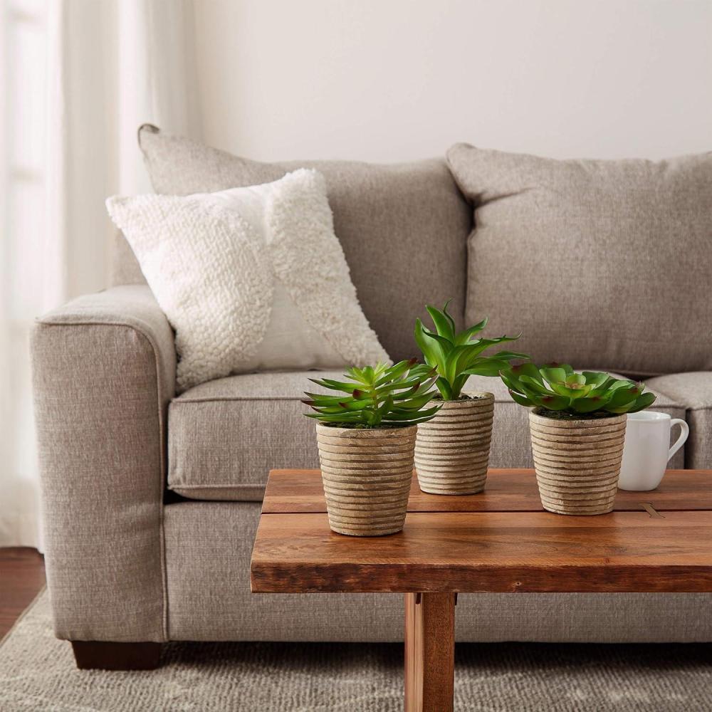 imagePure Garden Artificial Succulent Plants  3Piece Arrangement Set in Faux Stone Pots and Assorted Sizes  Lifelike Greenery for Home DecorationNatural  Green