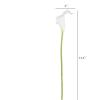 imageArtificial CallaLily with Stems  Real Touch Fake Flowers for Home Decor Wedding BridalBaby Shower More 24 Pc Set by Pure Garden Sunset OrangePure White