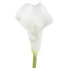 imageArtificial CallaLily with Stems  Real Touch Fake Flowers for Home Decor Wedding BridalBaby Shower More 24 Pc Set by Pure Garden Sunset OrangePure White