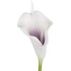 imageArtificial CallaLily with Stems  Real Touch Fake Flowers for Home Decor Wedding BridalBaby Shower More 24 Pc Set by Pure Garden Sunset OrangePurple White