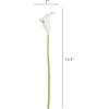imageArtificial CallaLily with Stems  Real Touch Fake Flowers for Home Decor Wedding BridalBaby Shower More 24 Pc Set by Pure Garden Sunset OrangePurple White