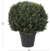 imageArtificial Cypress Topiary37 Tower Style Faux Plant in Sturdy Pot  Realistic Indoor or Outdoor Potted ShrubHome Decor by Pure Garden23