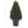 imageArtificial Cypress Topiary37 Tower Style Faux Plant in Sturdy Pot  Realistic Indoor or Outdoor Potted ShrubHome Decor by Pure Garden37