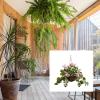 imageFaux Flowers White Geranium Hanging Natural and Lifelike Floral Arrangement with Basket for Home or Office by Pure GardenHot Pink