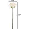 imageHome Artificial Roses with Stems Real Touch Fake Flowers Decor Wedding BridalBaby Shower Centerpiece More 50 Pc Set by Pure Garden Cream