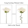 imageHome Artificial Roses with Stems Real Touch Fake Flowers Decor Wedding BridalBaby Shower Centerpiece More 50 Pc Set by Pure Garden Cream
