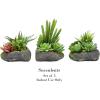 imagePure Garden Artificial Succulent Plants  3Piece Arrangement Set in Faux Stone Pots and Assorted Sizes  Lifelike Greenery for Home DecorationGray  Green