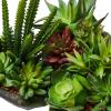 imagePure Garden Artificial Succulent Plants  3Piece Arrangement Set in Faux Stone Pots and Assorted Sizes  Lifelike Greenery for Home DecorationGray  Green