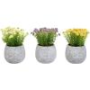imagePure Garden Artificial Succulent Plants  3Piece Arrangement Set in Faux Stone Pots and Assorted Sizes  Lifelike Greenery for Home DecorationIvory  Yellow   Purple