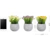 imagePure Garden Artificial Succulent Plants  3Piece Arrangement Set in Faux Stone Pots and Assorted Sizes  Lifelike Greenery for Home DecorationIvory  Yellow   Purple