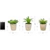 imagePure Garden Artificial Succulent Plants  3Piece Arrangement Set in Faux Stone Pots and Assorted Sizes  Lifelike Greenery for Home DecorationNatural  Green