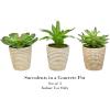 imagePure Garden Artificial Succulent Plants  3Piece Arrangement Set in Faux Stone Pots and Assorted Sizes  Lifelike Greenery for Home DecorationNatural  Green
