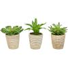 imagePure Garden Artificial Succulent Plants  3Piece Arrangement Set in Faux Stone Pots and Assorted Sizes  Lifelike Greenery for Home DecorationNatural  Green