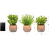 imagePure Garden Artificial Succulent Plants  3Piece Arrangement Set in Faux Stone Pots and Assorted Sizes  Lifelike Greenery for Home DecorationOrange  Green
