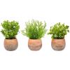 imagePure Garden Artificial Succulent Plants  3Piece Arrangement Set in Faux Stone Pots and Assorted Sizes  Lifelike Greenery for Home DecorationOrange  Green