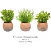 imagePure Garden Artificial Succulent Plants  3Piece Arrangement Set in Faux Stone Pots and Assorted Sizes  Lifelike Greenery for Home DecorationOrange  Green