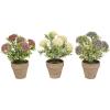 imagePure Garden Artificial Succulent Plants  3Piece Arrangement Set in Faux Stone Pots and Assorted Sizes  Lifelike Greenery for Home DecorationViolet  Lavender   Cream