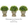 imagePure Garden Faux Boxwood  3Matching Realistic 95quot Tall Topiary Arrangements in Decorative Metal Baskets for Indoor Home or Office Set of 3Concrete Base