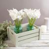 imageArtificial CallaLily with Stems  Real Touch Fake Flowers for Home Decor Wedding BridalBaby Shower More 24 Pc Set by Pure Garden Sunset OrangePure White