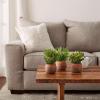imagePure Garden Artificial Succulent Plants  3Piece Arrangement Set in Faux Stone Pots and Assorted Sizes  Lifelike Greenery for Home DecorationOrange  Green