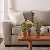 imagePure Garden Artificial Succulent Plants  3Piece Arrangement Set in Faux Stone Pots and Assorted Sizes  Lifelike Greenery for Home DecorationViolet  Lavender   Cream