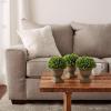 imagePure Garden Faux Boxwood  3Matching Realistic 95quot Tall Topiary Arrangements in Decorative Metal Baskets for Indoor Home or Office Set of 3Concrete Base