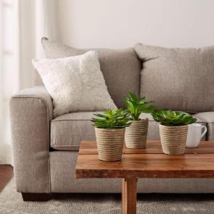 imagePure Garden Artificial Succulent Plants  3Piece Arrangement Set in Faux Stone Pots and Assorted Sizes  Lifelike Greenery for Home DecorationNatural  Green