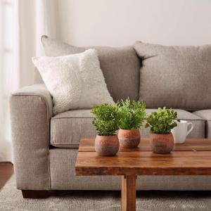 imagePure Garden Artificial Succulent Plants  3Piece Arrangement Set in Faux Stone Pots and Assorted Sizes  Lifelike Greenery for Home DecorationOrange  Green