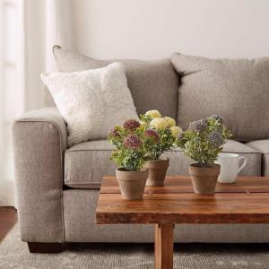 imagePure Garden Artificial Succulent Plants  3Piece Arrangement Set in Faux Stone Pots and Assorted Sizes  Lifelike Greenery for Home DecorationViolet  Lavender   Cream