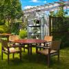 image4 Tier Mini Greenhouse  Portable Greenhouse with Locking Wheels and PVC Cover for Indoor or Outdoor  27 x 19 x 63Inch Green House by HomeComplete4Tier