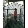 image4 Tier Mini Greenhouse  Portable Greenhouse with Locking Wheels and PVC Cover for Indoor or Outdoor  27 x 19 x 63Inch Green House by HomeComplete8Shelf