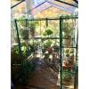 image4 Tier Mini Greenhouse  Portable Greenhouse with Locking Wheels and PVC Cover for Indoor or Outdoor  27 x 19 x 63Inch Green House by HomeCompleteWalkIn