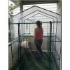 image4 Tier Mini Greenhouse  Portable Greenhouse with Locking Wheels and PVC Cover for Indoor or Outdoor  27 x 19 x 63Inch Green House by HomeCompleteWalkIn