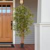 imageArtificial Bamboo Tree  6FT Fake Plant with Adjustable Leaves and Pot  Faux Plants Indoor for Home Restaurant or Office Dcor by Pure GardenNatural Trunk