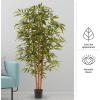 imageArtificial Bamboo Tree  6FT Fake Plant with Adjustable Leaves and Pot  Faux Plants Indoor for Home Restaurant or Office Dcor by Pure GardenNatural Trunk
