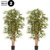 imageArtificial Bamboo Tree  6FT Fake Plant with Adjustable Leaves and Pot  Faux Plants Indoor for Home Restaurant or Office Dcor by Pure GardenNatural Trunk