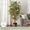 imageArtificial Bamboo Tree  6FT Fake Plant with Adjustable Leaves and Pot  Faux Plants Indoor for Home Restaurant or Office Dcor by Pure GardenNatural Trunk