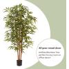imageArtificial Bamboo Tree  6FT Fake Plant with Adjustable Leaves and Pot  Faux Plants Indoor for Home Restaurant or Office Dcor by Pure GardenNatural Trunk