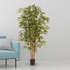 imageArtificial Bamboo Tree  6FT Fake Plant with Adjustable Leaves and Pot  Faux Plants Indoor for Home Restaurant or Office Dcor by Pure GardenNatural Trunk