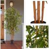 imageArtificial Bamboo Tree  6FT Fake Plant with Adjustable Leaves and Pot  Faux Plants Indoor for Home Restaurant or Office Dcor by Pure GardenNatural Trunk