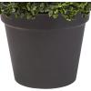 imageArtificial Boxwood Plant  21Inch Topiary Ball Faux Plant  Indoor or Outdoor Fake Plants for Home Entryway or Porch Decor by Pure Garden1Pack