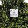 imageArtificial Boxwood Topiary  36Inch TowerStyle Faux Plant in Sturdy Pot  Realistic Indoor or Outdoor Potted Shrub  Greenery Dcor by Pure GardenGreen