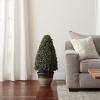 imageArtificial Boxwood Topiary  36Inch TowerStyle Faux Plant in Sturdy Pot  Realistic Indoor or Outdoor Potted Shrub  Greenery Dcor by Pure GardenGreen